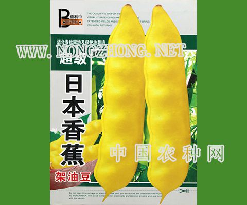 超级日本香蕉豆角种子